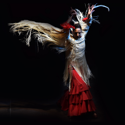Contratar Flamenco: Cuadro flamenco en Madrid para fiestas y eventos