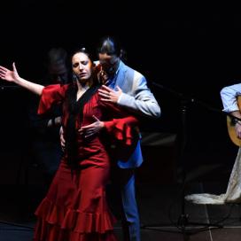 Show flamenco Madrid | ContratarArtistas.com