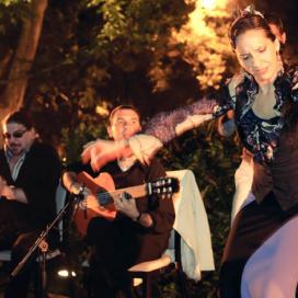Contratar espectáculo flamenco Madrid | ContratarArtistas.com