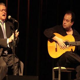 Guitarrista flamenco evento | ContratarArtistas.com