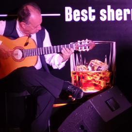 Guitarra flamenca eventos Madrid | ContratarArtistas.com